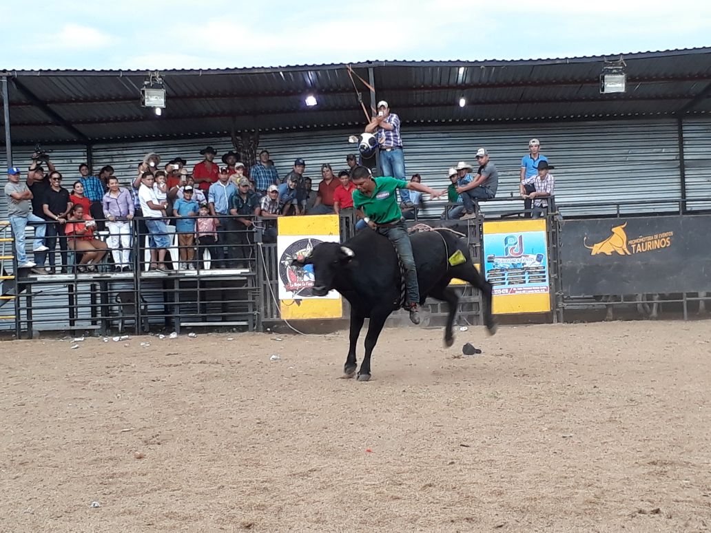 TOROS1